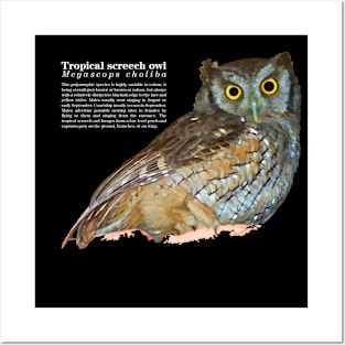 Tropical screech owl under a roof white text Posters and Art